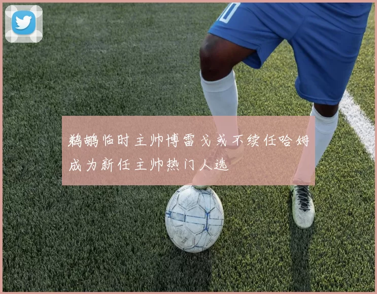 鹈鹕临时主帅博雷戈或不续任哈姆成为新任主帅热门人选