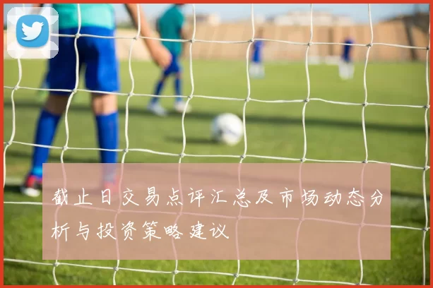 截止日交易点评汇总及市场动态分析与投资策略建议